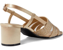 Load image into Gallery viewer, David Tate-Sparkle Champagne Satin