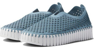 Ilse Jacobsen Tulip Blue Cloud Platform